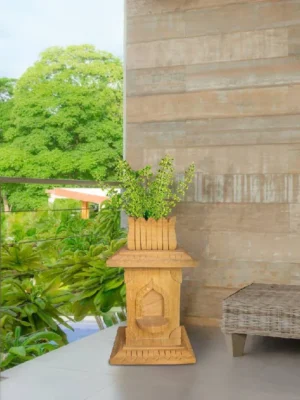 Elegant Tulsi Pot in Teak Gold