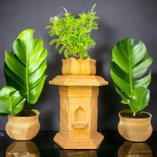 Teakwood Stone Tulsi Pot - Image 3